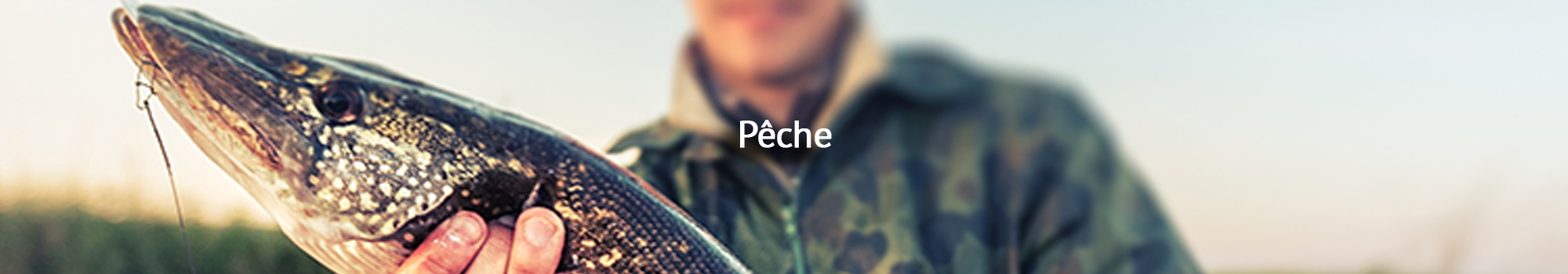 homepage-fishing-fr