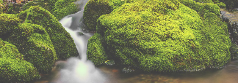Best of Canada - Best Hiking Trail - Fundy Trail