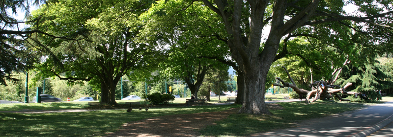 Best Makeout Spot - Stanley Park