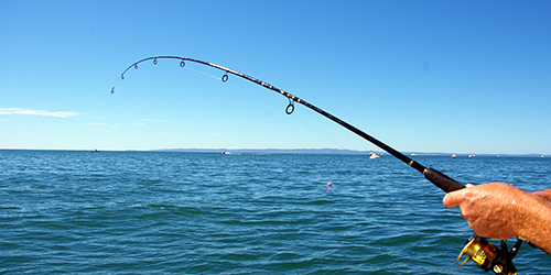Coleman-Get-Outside-Day-Fishing-Fishing-101-Learn-to-Fish
