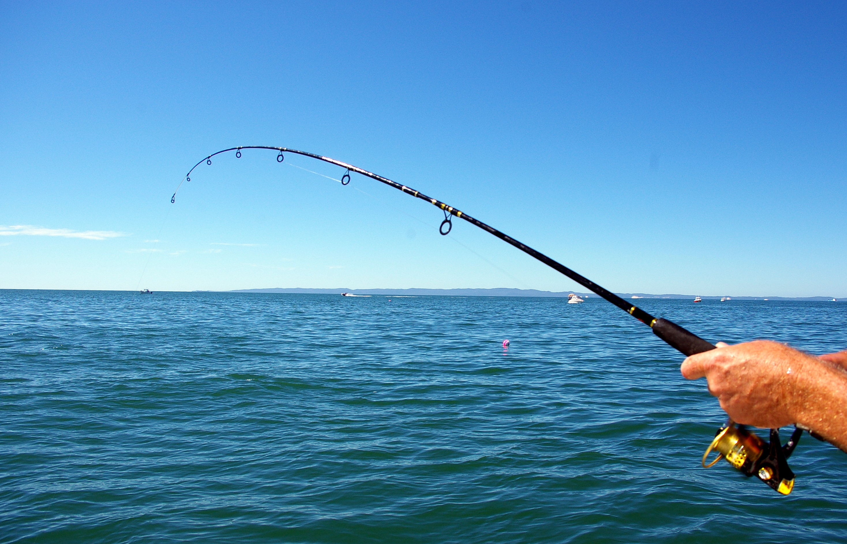 Coleman - Get Outside Day Fishing - Fishing 101 - Learn to Fish