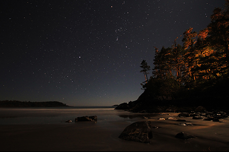 Mackenzie Beach