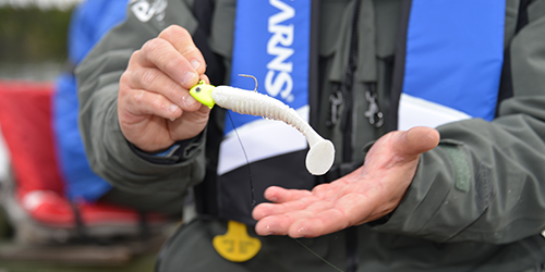 jig-and-swimbait-2