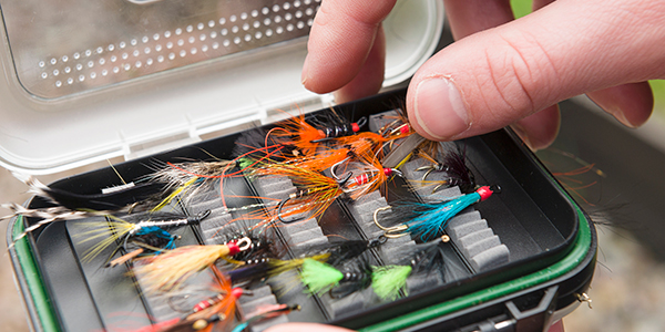 whats-in-your-tackle-box