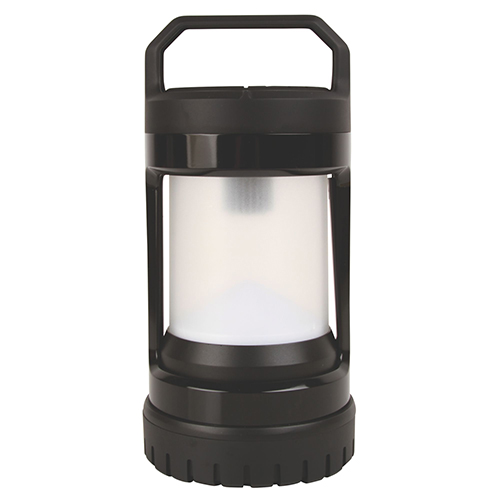 Coleman-Divide-and-Twist-Lantern